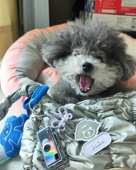 🐶 毛孩名牌掛飾 ✖️第1️⃣彈