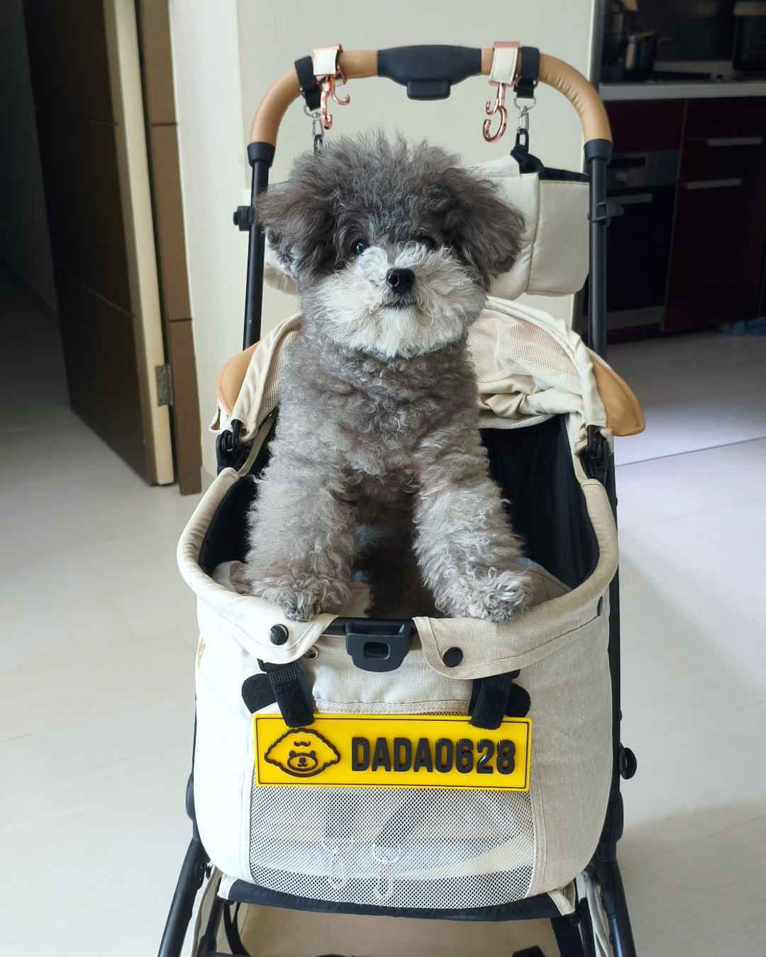 🐶 毛孩坐駕專用車牌 ✖️第1️⃣彈