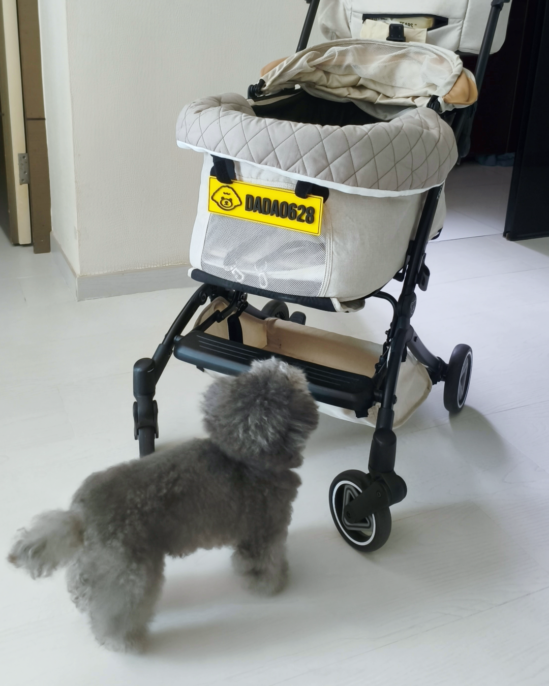 🐶 毛孩坐駕專用車牌 ✖️第1️⃣彈