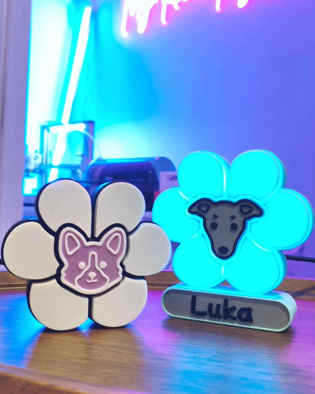 🐶 毛孩✖️花花燈 🌼 ✖️第1️⃣彈