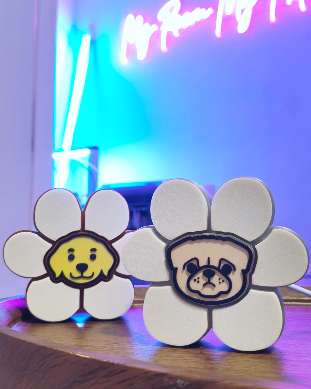 🐶 毛孩✖️花花燈 🌼 ✖️第1️⃣彈