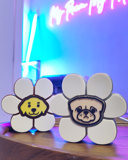 🐶 毛孩✖️花花燈 🌼 ✖️第1️⃣彈