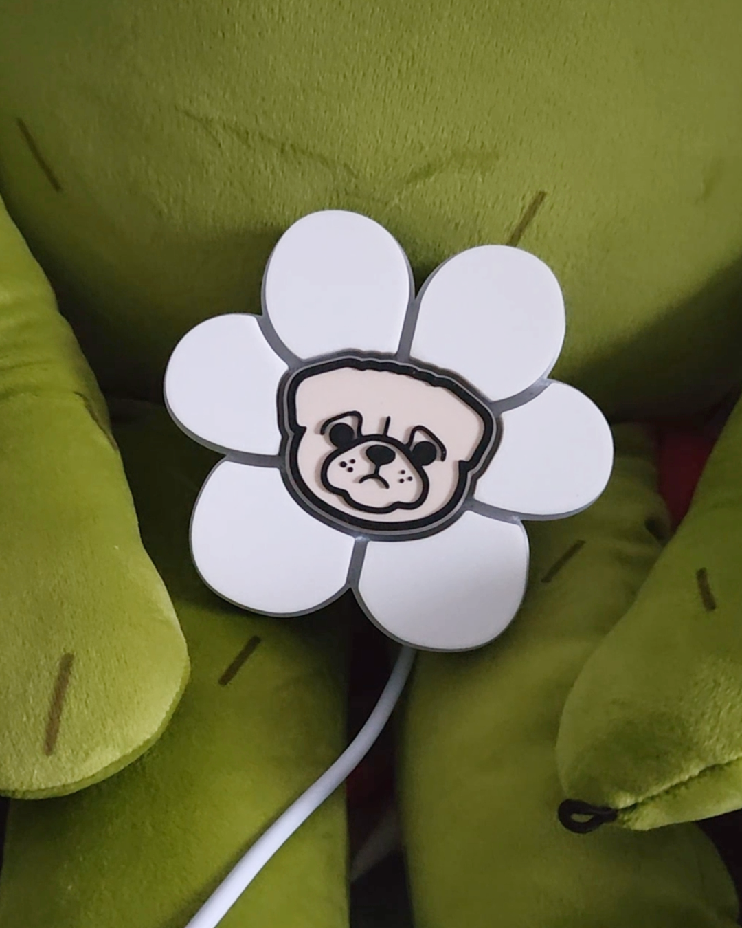 🐶 毛孩✖️花花燈 🌼 ✖️第1️⃣彈