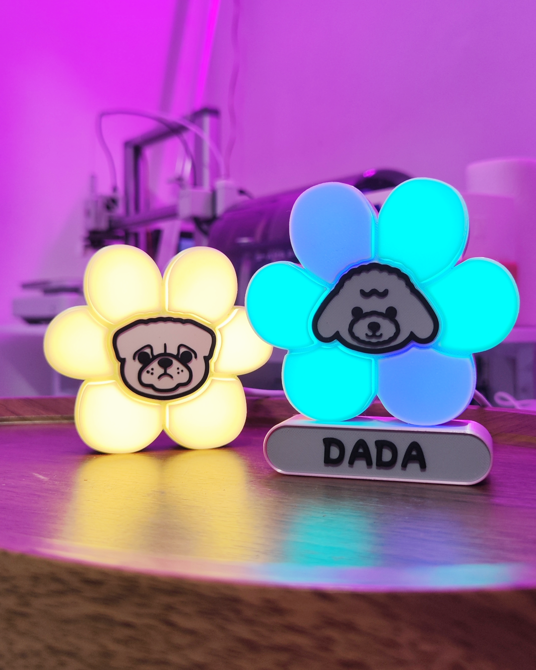 🐶 毛孩✖️花花燈 🌼 ✖️第1️⃣彈