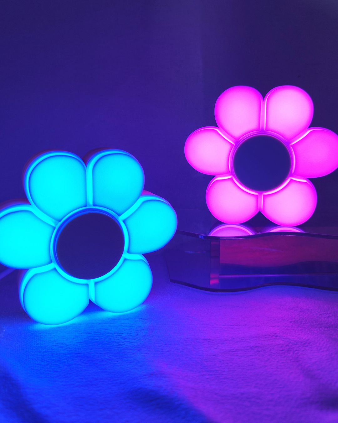 花花燈 🌼 FAFA LAMP