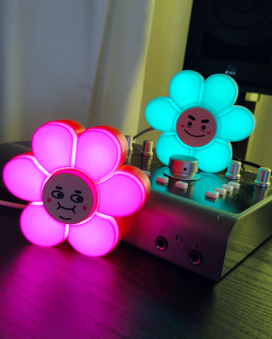 阿肥+元氣君✖️花花燈 🌼